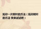 拓印一片树叶的方法（拓印树叶的方法 快来试试吧）