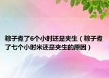 粽子煮了6个小时还是夹生（粽子煮了七个小时米还是夹生的原因）