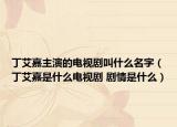 丁艾嘉主演的电视剧叫什么名字（丁艾嘉是什么电视剧 剧情是什么）