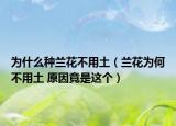 为什么种兰花不用土（兰花为何不用土 原因竟是这个）