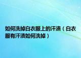 如何洗掉白衣服上的汗渍（白衣服有汗渍如何洗掉）