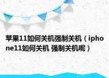 苹果11如何关机强制关机（iphone11如何关机 强制关机呢）