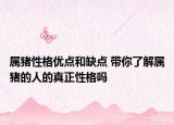 属猪性格优点和缺点 带你了解属猪的人的真正性格吗