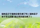 猫咪鼻子干燥肯定是生病了吗（猫咪鼻子发干怎么回事 是正常还是生病了）
