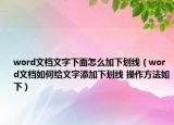 word文档文字下面怎么加下划线（word文档如何给文字添加下划线 操作方法如下）