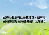 葫芦岛有没有赶海的地方（葫芦岛赶海哪里好 赶海能赶到什么东西）