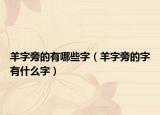 羊字旁的有哪些字（羊字旁的字有什么字）