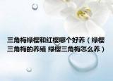 三角梅绿樱和红樱哪个好养（绿樱三角梅的养殖 绿樱三角梅怎么养）