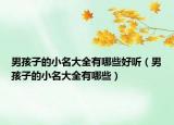 男孩子的小名大全有哪些好听（男孩子的小名大全有哪些）
