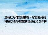 盆栽牡丹花如何种植（家庭牡丹花种植方法 家庭盆栽牡丹花怎么养护）