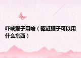 吓唬獾子用啥（驱赶獾子可以用什么东西）