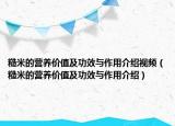 糙米的营养价值及功效与作用介绍视频（糙米的营养价值及功效与作用介绍）