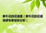 牵牛花的花语是（牵牛花的花语 情感专家帮你分析）
