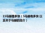 15马赫是多快（5马赫有多快 以及关于马赫的简介）