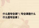 什么是专业课?（专业课是什么 什么是专业课）