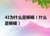41为什么是蜥蜴（什么是蜥蜴）