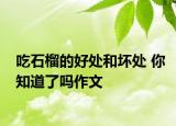 吃石榴的好处和坏处 你知道了吗作文