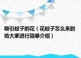 吸引蚊子的花（花蚊子怎么来的 给大家进行简单介绍）