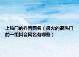 上热门的抖音网名（很火的很热门的一组抖音网名有哪些）