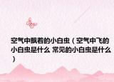 空气中飘着的小白虫（空气中飞的小白虫是什么 常见的小白虫是什么）