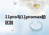 11pro与11promax的区别