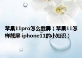 苹果11pro怎么截屏（苹果11怎样截屏 iphone11的小知识）