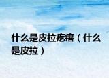 什么是皮拉疙瘩（什么是皮拉）