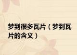 梦到很多瓦片（梦到瓦片的含义）