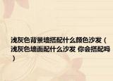 浅灰色背景墙搭配什么颜色沙发（浅灰色墙面配什么沙发 你会搭配吗）