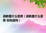 请教是什么意思（请教是什么意思 你知道吗）