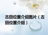 古田位置介绍图片（古田位置介绍）