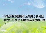孕妇梦见麒麟是什么预兆（梦见麒麟是什么预兆 13种预示你是哪一种）