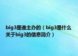 big3是谁主办的（big3是什么 关于big3的信息简介）