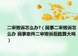二审败诉怎么办?（民事二审败诉怎么办 民事案件二审败诉后胜算大吗）