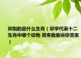 卯指的是什么生肖（卯字代表十二生肖中哪个动物 进来我告诉你答案）