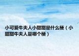 小可爱牛夫人小甜甜是什么梗（小甜甜牛夫人是哪个梗）