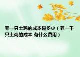 养一只土鸡的成本是多少（养一千只土鸡的成本 有什么费用）