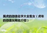 属虎的微信名字大全集女（虎年的微信女网名介绍）