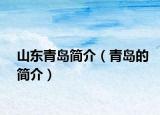 山东青岛简介（青岛的简介）