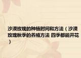 沙漠玫瑰的种植时间和方法（沙漠玫瑰秋季的养殖方法 四季都能开花）
