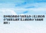 花中有白色的小飞虫怎么办（花上的白色小飞虫怎么消灭 花上的白色小飞虫如何消灭）