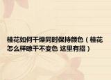 桂花如何干燥同时保持颜色（桂花怎么样晾干不变色 这里有招）
