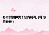 冬青树的种类（冬青树有几种 快来看看）
