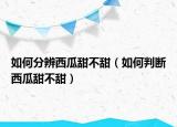 如何分辨西瓜甜不甜（如何判断西瓜甜不甜）