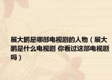 展大鹏是哪部电视剧的人物（展大鹏是什么电视剧 你看过这部电视剧吗）