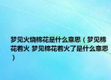 梦见火烧棉花是什么意思（梦见棉花着火 梦见棉花着火了是什么意思）