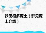 梦见很多泥土（梦见泥土介绍）