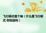 飞行模式是个啥（什么是飞行模式 你知道吗）