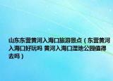 山东东营黄河入海口旅游景点（东营黄河入海口好玩吗 黄河入海口湿地公园值得去吗）