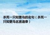 杀死一只知更鸟的名句（杀死一只知更鸟名言语录）